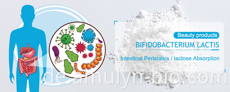 Bifidobacterium lactis powder banner